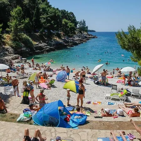 Niksa Pula