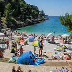 Niksa Pula